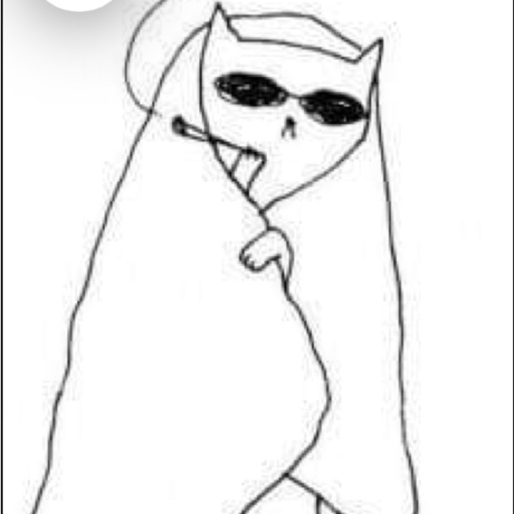 Meet your Posher, Celina